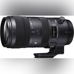 Canon 90D & Canon 70-200 F2.8 lens